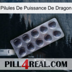 Dragon Power Pills 30